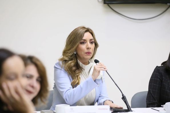 Presenta Dulce Silva beneficios de la reforma eléctrica a medios de comunicación